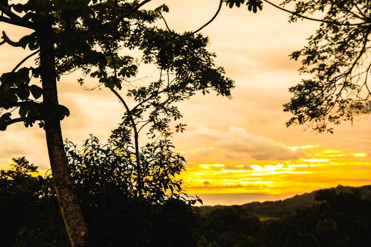 Oasis Uvita Bed & Breakfast Luaran gambar